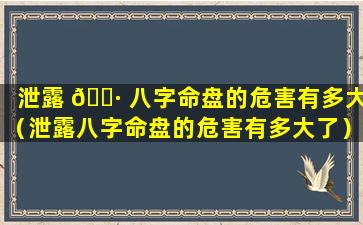 泄露 🌷 八字命盘的危害有多大（泄露八字命盘的危害有多大了）